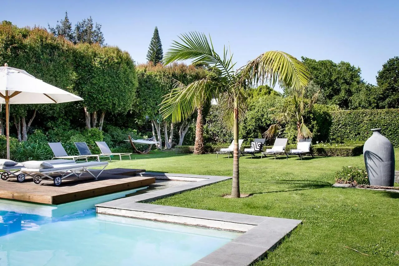 Konukevi 14 On Klein Constantia Otel Cape Town