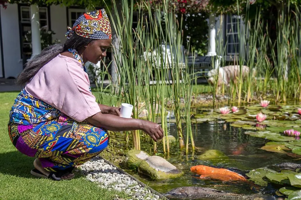 Konukevi 14 On Klein Constantia Otel Cape Town
